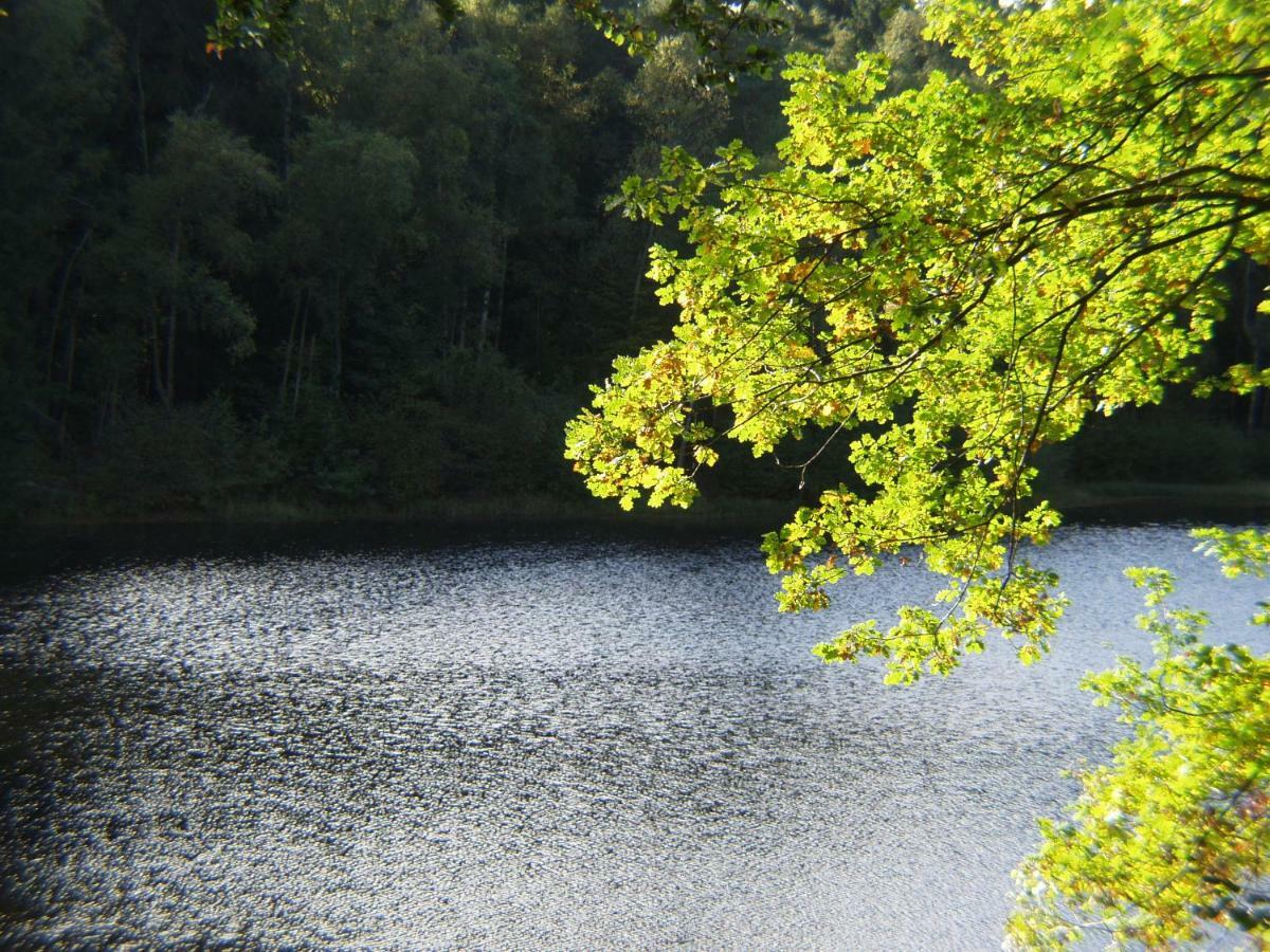 Ferienhaus Hagenwinkel Gernrode  Esterno foto